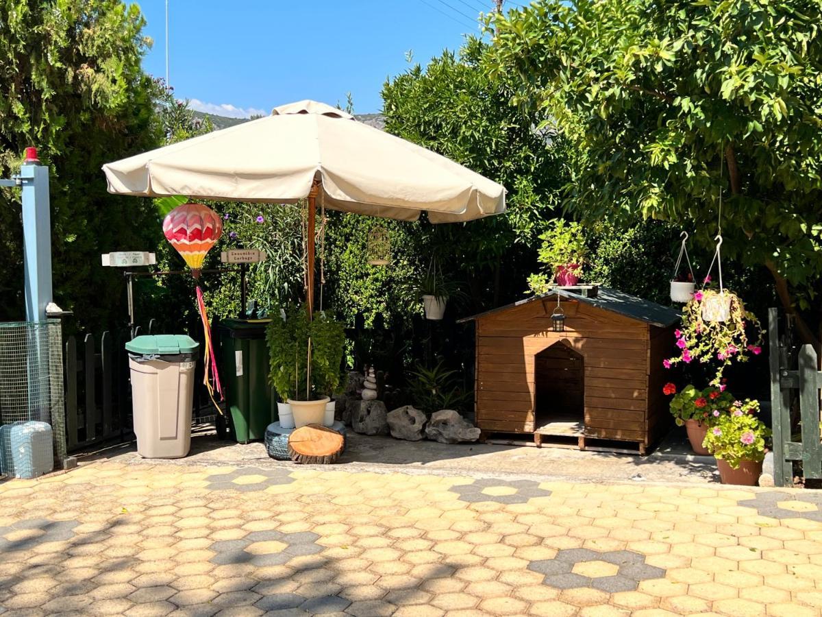 Iris-Gogo House Διαμέρισμα Ναύπλιο Εξωτερικό φωτογραφία